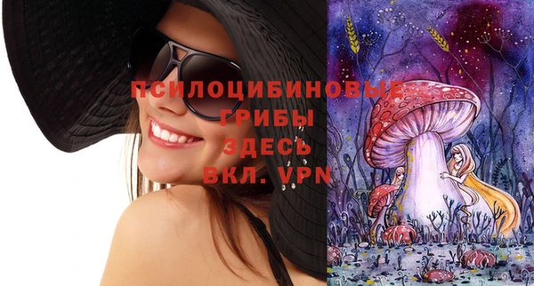 молекула духа Балахна