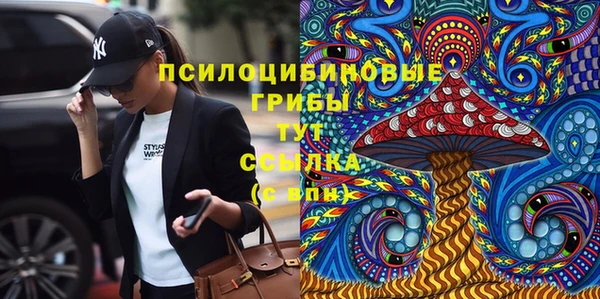 бошки Богородск